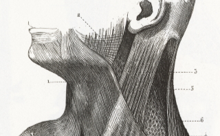 Nouveau pôle de recherche scientifique